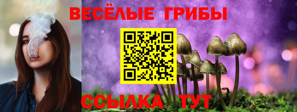 Псилоцибиновые грибы Magic Shrooms Электрогорск