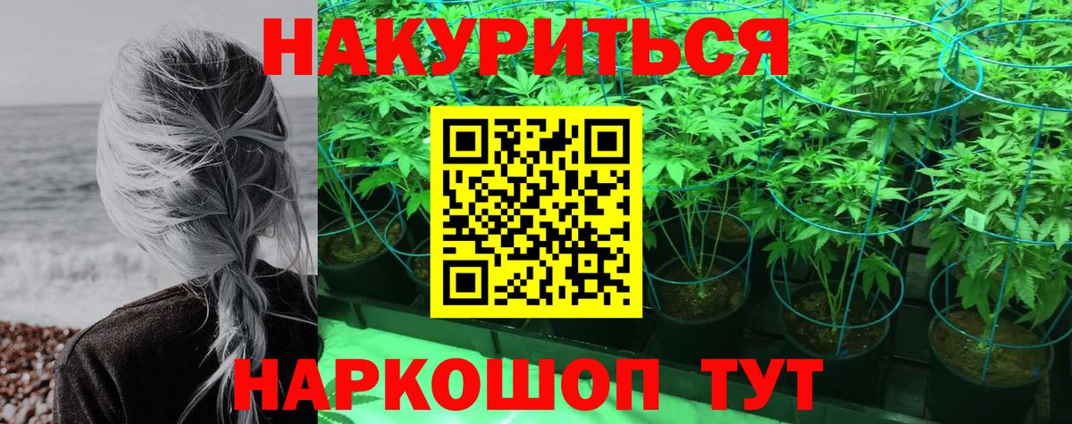 Бошки Шишки SATIVA & INDICA  Канабис планчик  Вход с VPN  Электрогорск  МАРИХУАНА MAZAR  Конопля Ganja 